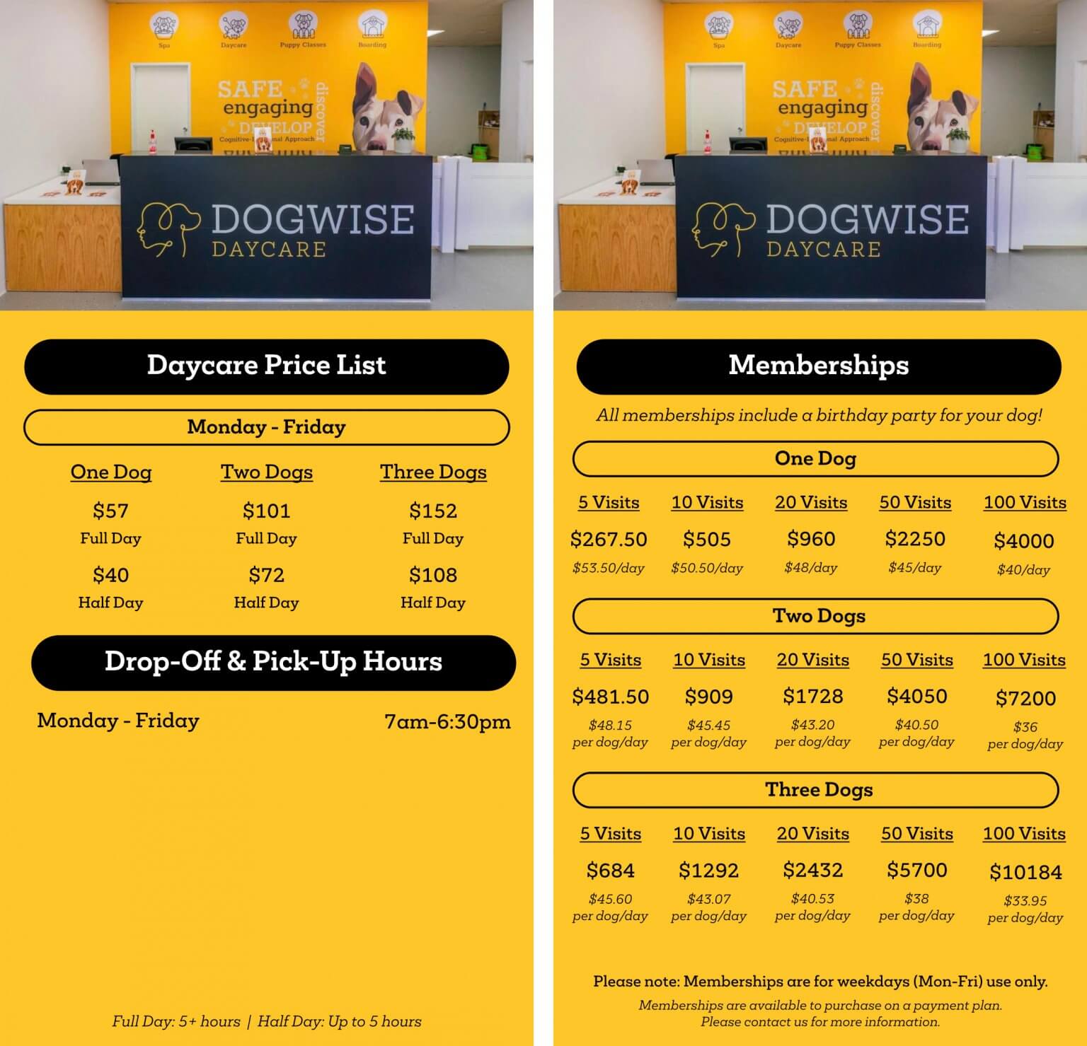 starting-a-dog-daycare-business-complete-business-plan-template