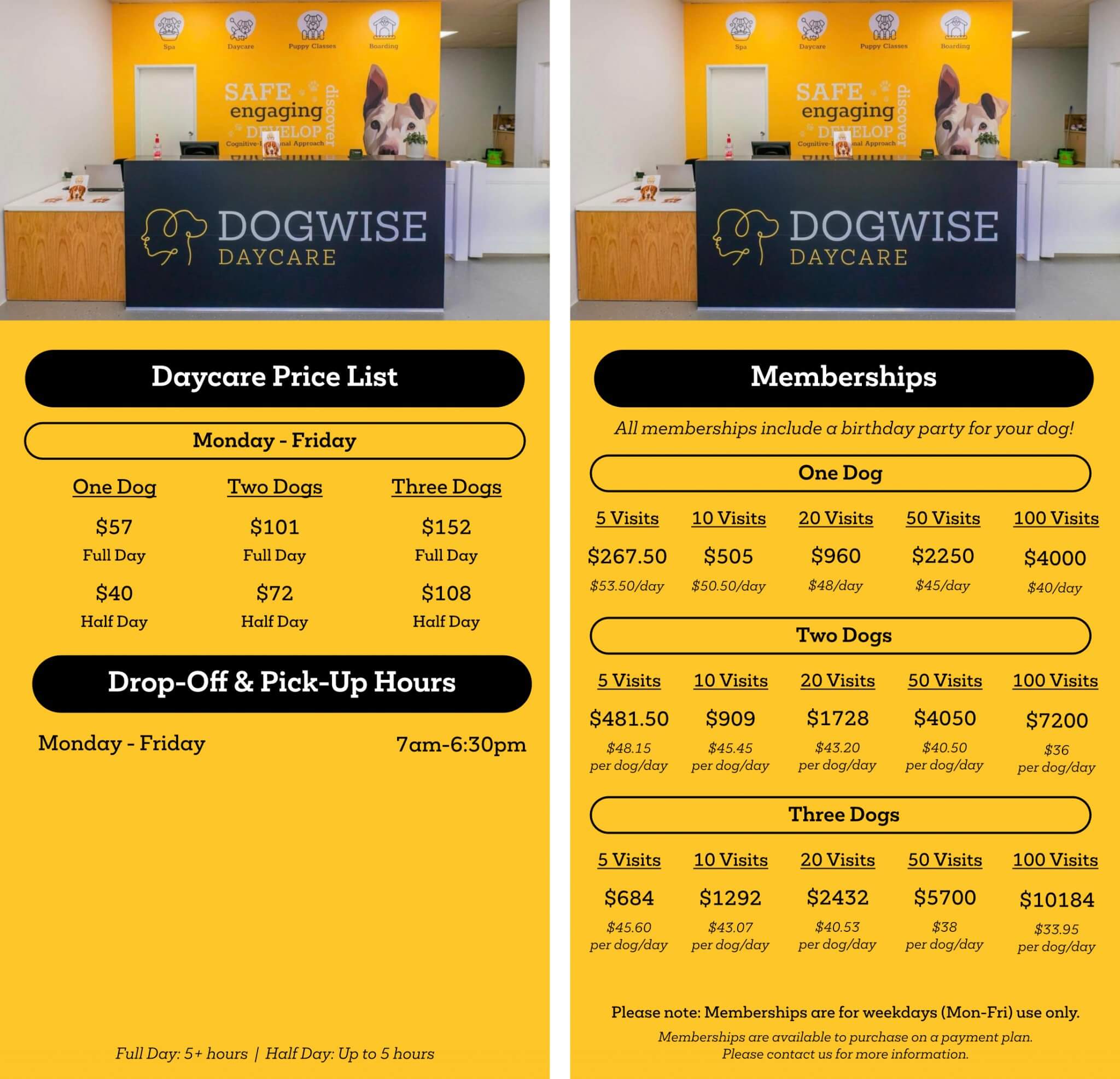 dog-daycare-services-in-adelaide-dogwise-daycare